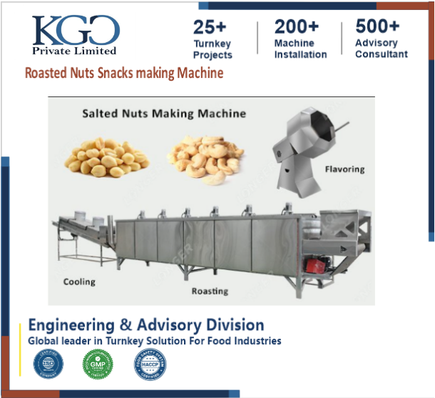 Roasted Nuts Snacks making Consultancy