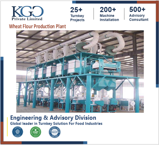 Wheat Flour Plant Consultancy
