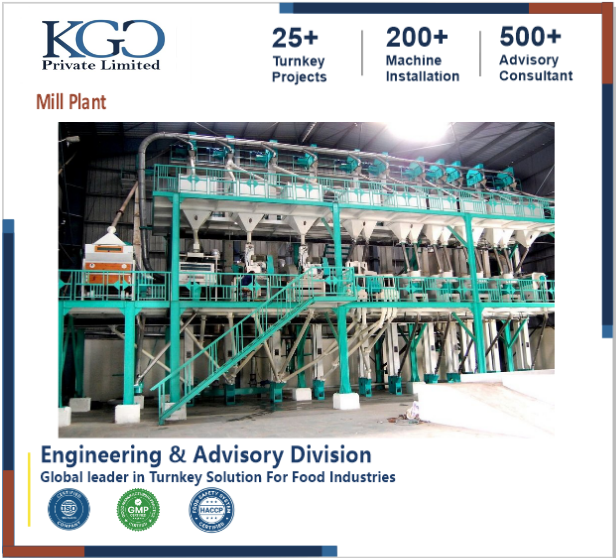 Flour Mill Plant Consultancy