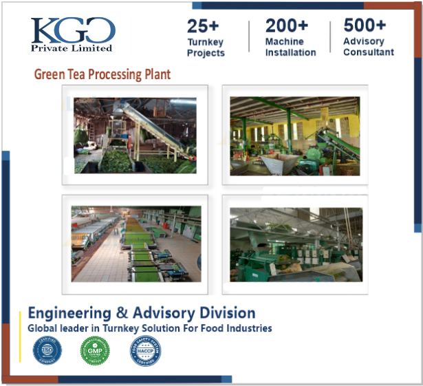 Green Tea Processing Plant Consultancy