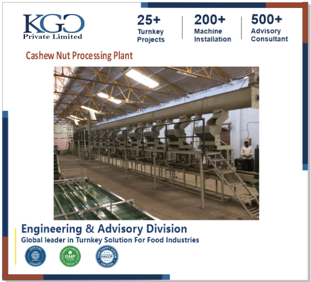 Cashew Nut Processing Plant Consultancy
