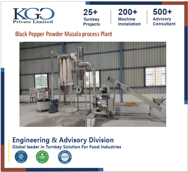 Black Pepper Powder Masala Processing Plant Consultancy