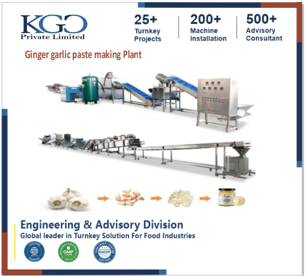 Ginger Garlic Paste Manufacturing Plant Consultancy