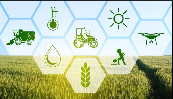 Agriculture